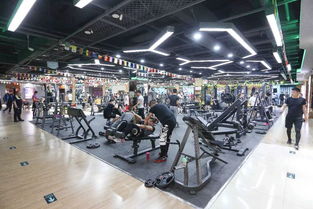 小編探店 想成為時(shí)尚健身達(dá)人 小編帶你360 全景探訪博樂這家健身俱樂部