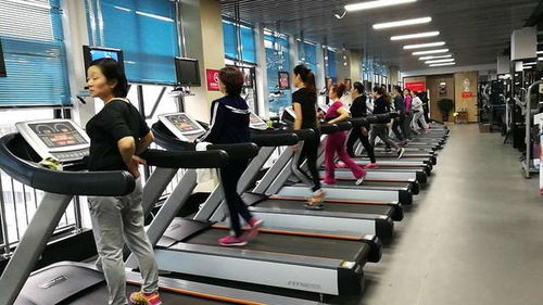 健身俱樂部 全民健身計劃的重要推動者與團體運動熱潮