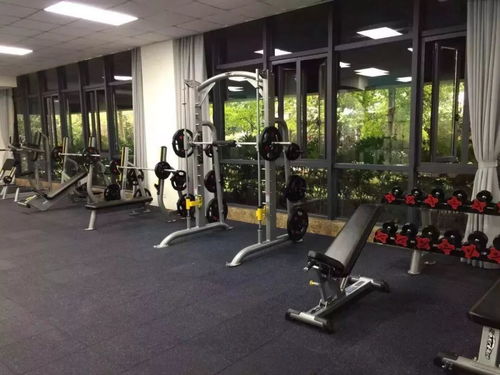 總有一些堅持值得銘記 2019健身俱樂部年度回顧