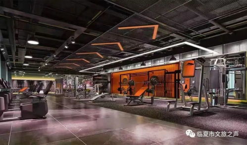 臨夏市首家游泳健身俱樂部即將開業，開啟健康生活新篇章