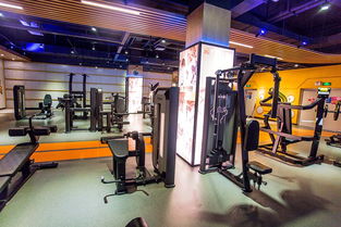 悅萊美健身俱樂部 打造健康生活方式的全方位健身平臺